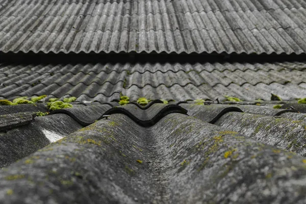Toiture en plaques ondulées de fibrociment gris typique des villas genevoises, avec mousse et traces de vieillissement